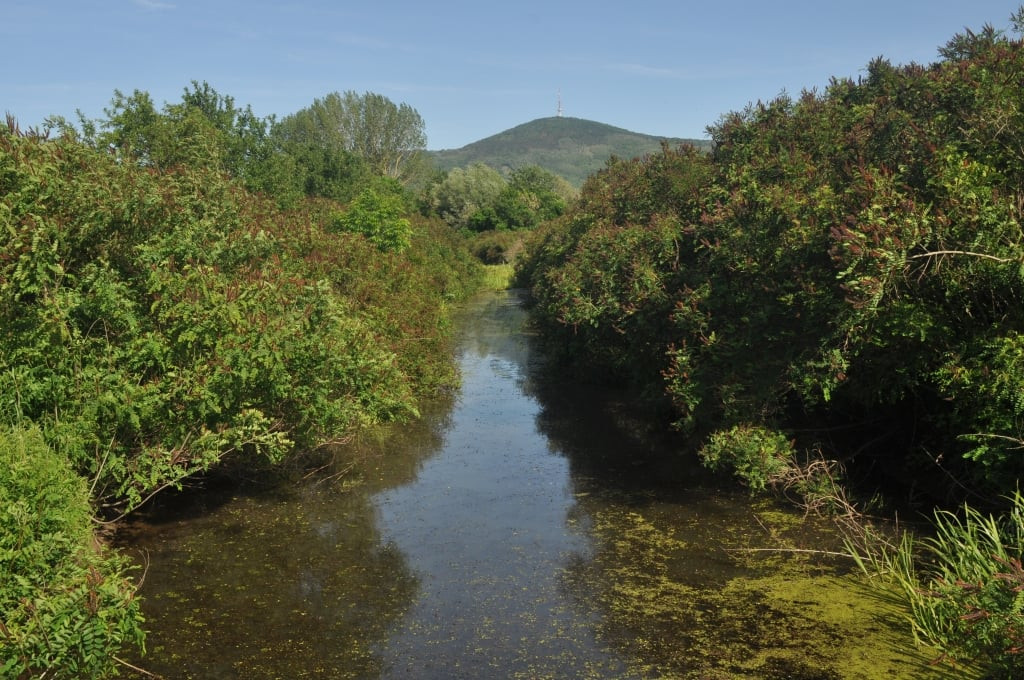 A csatorna a nyári időszakban – Fotó: Tokaji Természetvédelmi Egyesület