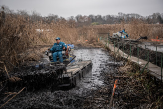 Több mint 400 ezer kilogramm szennyeződést távolítottak el a Ráckevei-Soroksári Duna-ágból