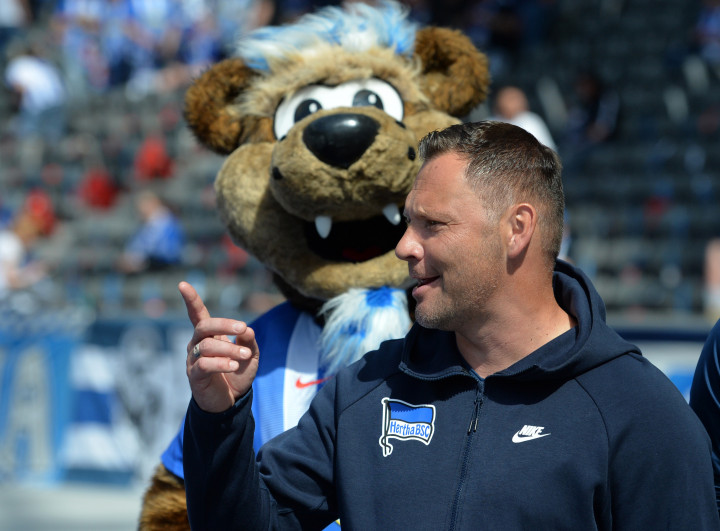Dárdai Pál a Hertha kabalaállatával a háttérben – Fotó: Jan Kuppert / SVEN SIMON / AFP