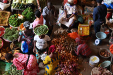 Összeomlástól féltették, a világgazdaság élmezőnyében végzett idén Afrika