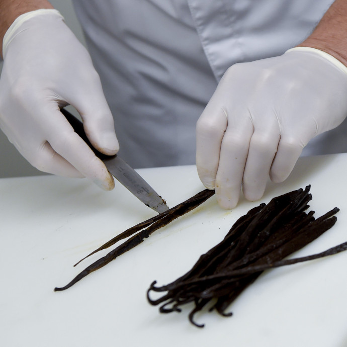 Miért Madagaszkár a világ vaníliatermelője, ha a növény Mexikóban őshonos?