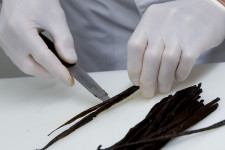 Miért Madagaszkár a világ vaníliatermelője, ha a növény Mexikóban őshonos?