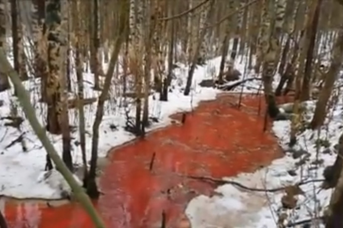Halfeldolgozóból ömlő szennyvíz fest vörösre egy patakot Oroszországban