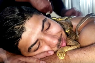 Kígyókkal masszíroztatnak Kairóban