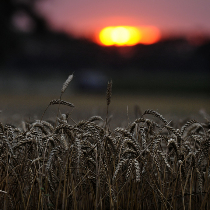 Új szuperhatalom születhet az olvadó földből