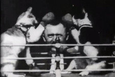 Edison filmstúdiója volt a fizetős sportközvetítések és a macskás videók bölcsője