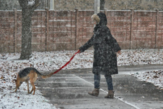A pórázon sétáltatott férj Kanadában sem számít kutyának