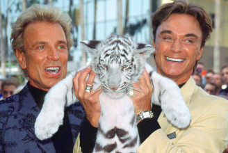 Meghalt Siegfried Fischbacher, Las Vegas híres tigrisidomár művésze