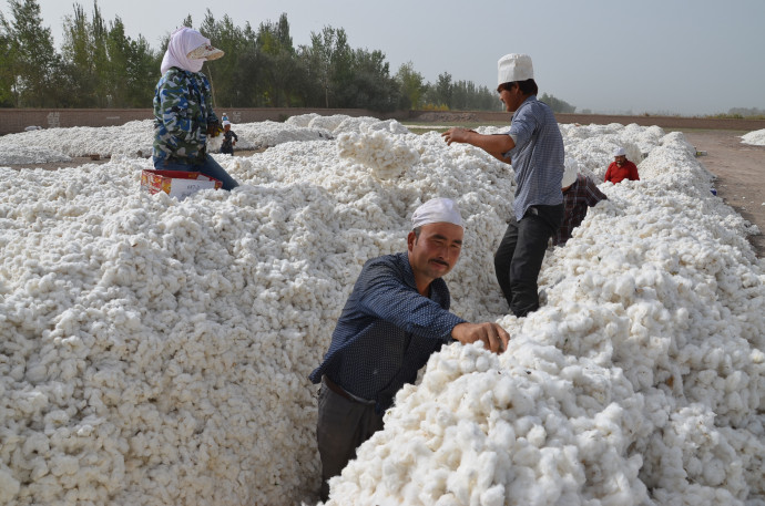 Ujgur munkások egy hszincsiang gyapotföldön – Fotó: Chen Jiansheng / ImagineChina / AFP