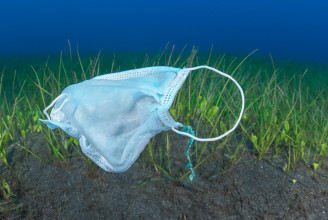 900 millió tengeri műanyag részecskét szűr ki évente a tengerifű a Földközi-tengerből