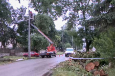 Egy elkorhadt fa dőlt a kocsira Dombóváron, négyen meghaltak, mégsem találtak felelőst