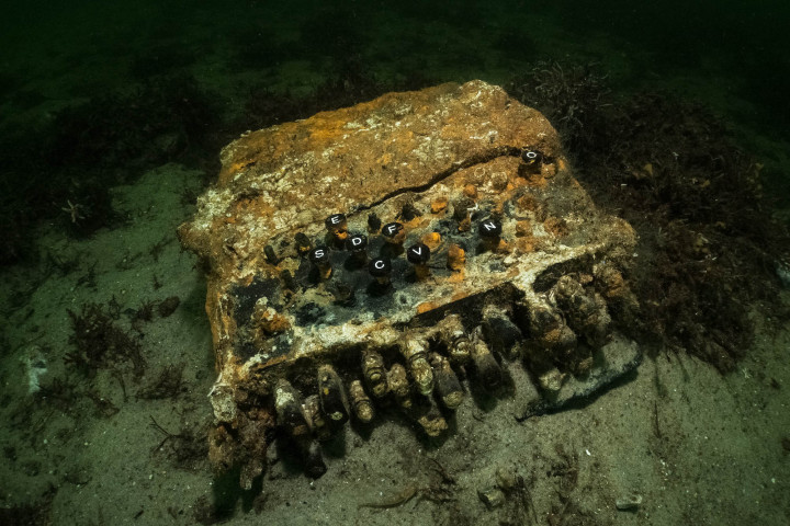 A tavaly novemberi Enigma – Fotó: florian huber / WWF / submaris / AFP