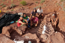 Rekordgyanús, hatalmas dinoszauruszt találtak