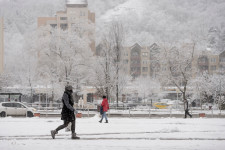 Több fa is kidőlt a hó súlya miatt Borsod megyében