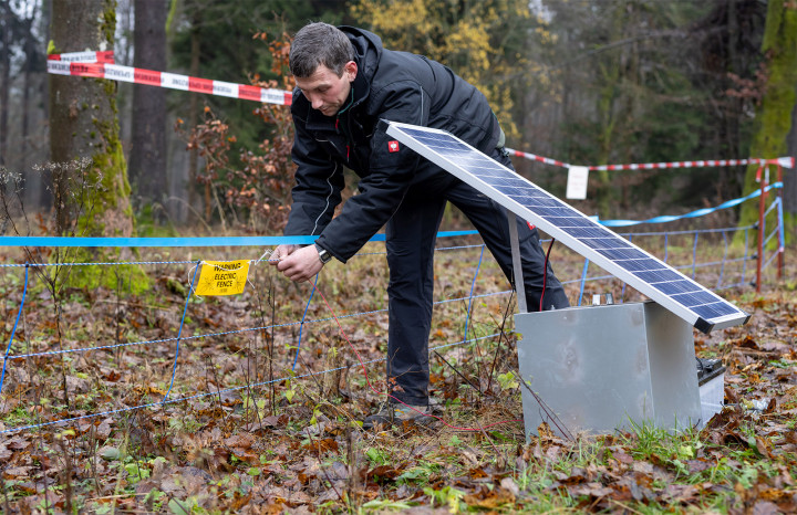 A sertéspesti terjedése miatt Schmalkalden-Meiningen területének egy részét lekerítik Türingiában 2020. novemberében – Fotó: Fotó: Michael Reichel / dpa / AFP