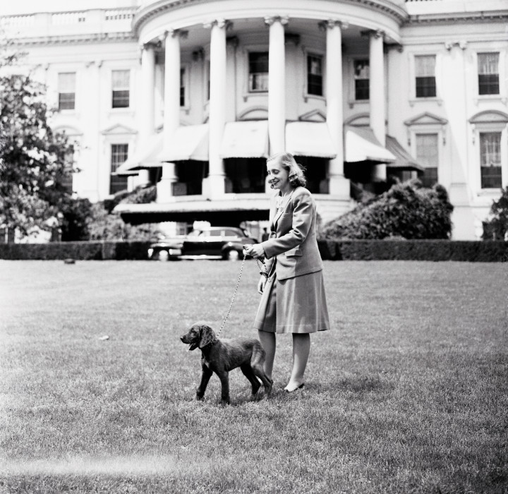 Margaret Truman sétáltatja Mike-ot a Fehérház gyepén 1945 májusában. Fotó: Bettmann Archive / Getty Image