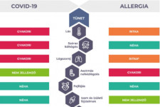 Allergiás vagy koronás: segít eldönteni egy infografika