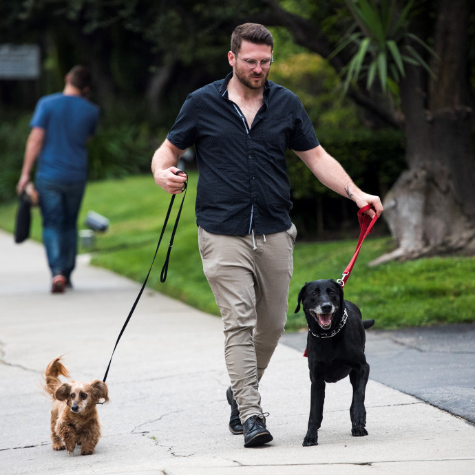 Az egyik süllyedő hajón 100 kutya van, a másikon egy ember, melyiket mentsük meg?