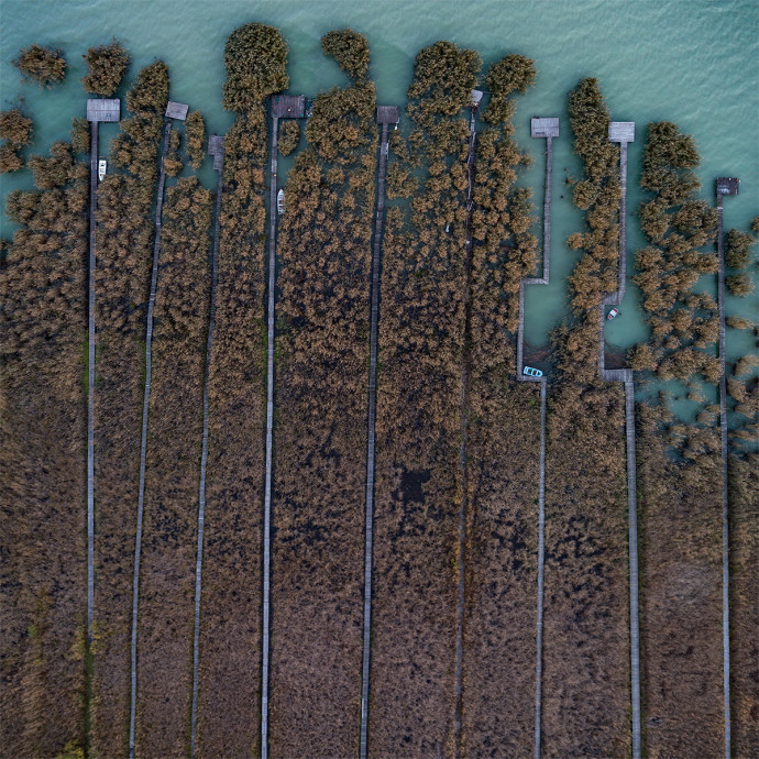 Stégek a Balatonban Ábrahámhegynél. Fotó: Radisics Milán/water.shapes.earth