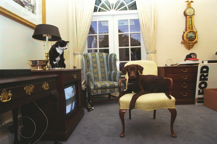 Socks és Buddy 1998-ban – Fotó: Image courtesy National Archives / Smith Collection / Gado / Getty Images