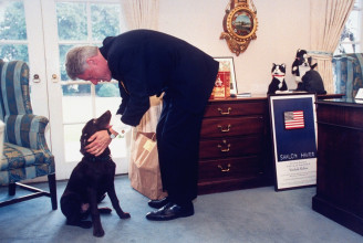 Az elnöki kutyák mellett aligátor és kecske is élt már a Fehér Házban