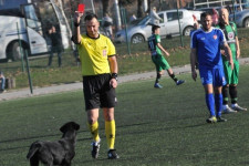 Piros lapot kapott egy kutya Szerbiában, amiért négyszer is megzavart egy focimeccset