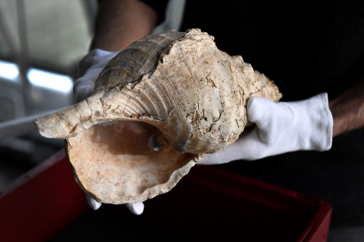 A kagylókürt – Fotó: GEORGES GOBET / AFP
