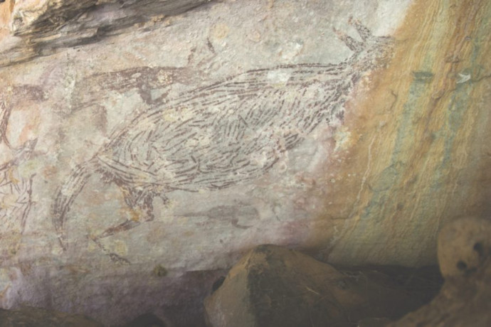 Darázsfészkek segítségével állapították meg, hogy ez a kengurus sziklarajz 17 ezer évesnél is idősebb