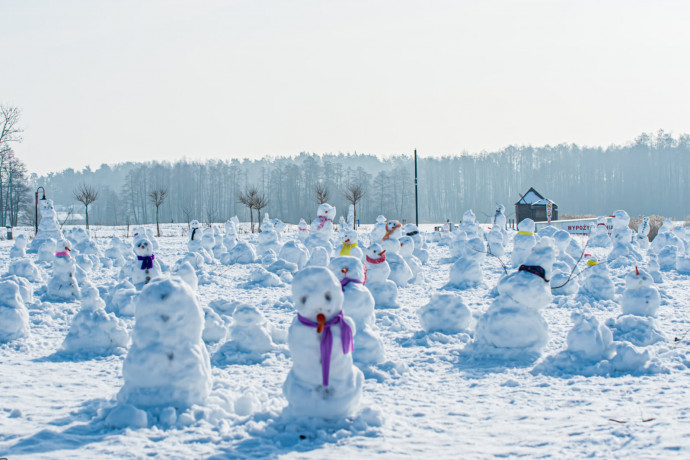 Ezer hóembert építettek egy lengyel tó partjára, hogy egy szívbeteg gyereknek segítsenek