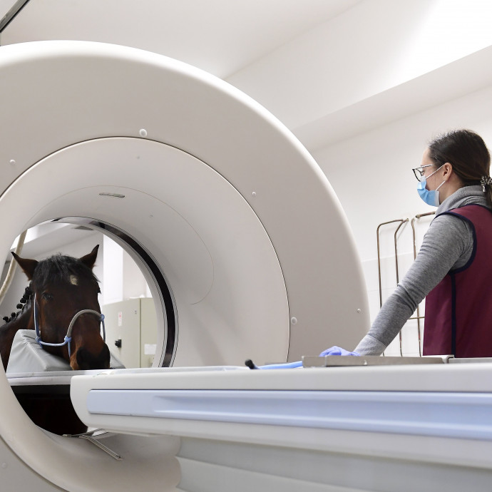 Jól szolgálják-e a kormány tervei a COVID által okozott társadalmi és gazdasági károk helyreállítását?