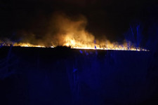 Fonyódi nádastűz: 120 hektáron égett le a terület