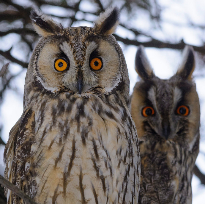 Valamit mondani próbál nekünk a pénzügyi piac a járvány utáni világról