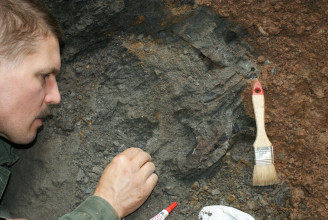 Több mint száz éve eltűnt dinoszaurusz-lelőhelyeket fedeztek fel Erdélyben