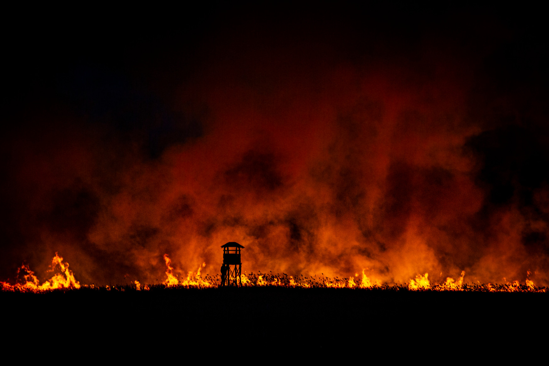 Húszméteres lángokkal égett, húsz kilométerről is látni lehetett a nádast pusztító fonyódi tüzet