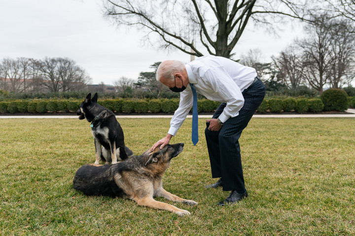 Joe Biden kutyáival a Fehér Ház udvarán – Fotó: The White House