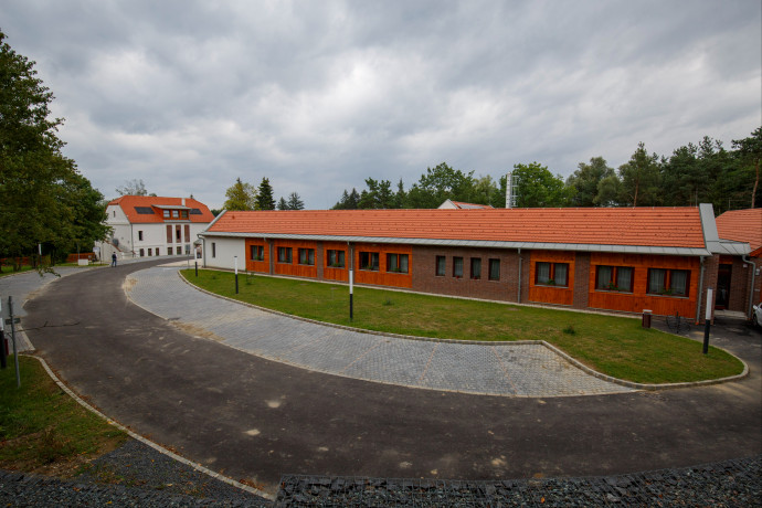 A Mol ígéri, egyetlen fát sem fognak kivágni az őrségi kútfúrás során