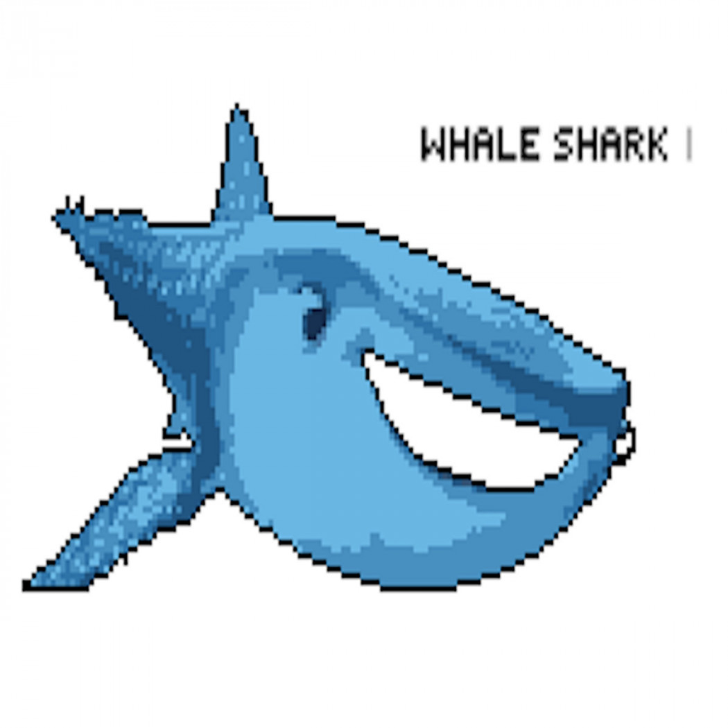 Clarian Whale Shark című albumának borítója.Forrás: Clarian / Bandcamp