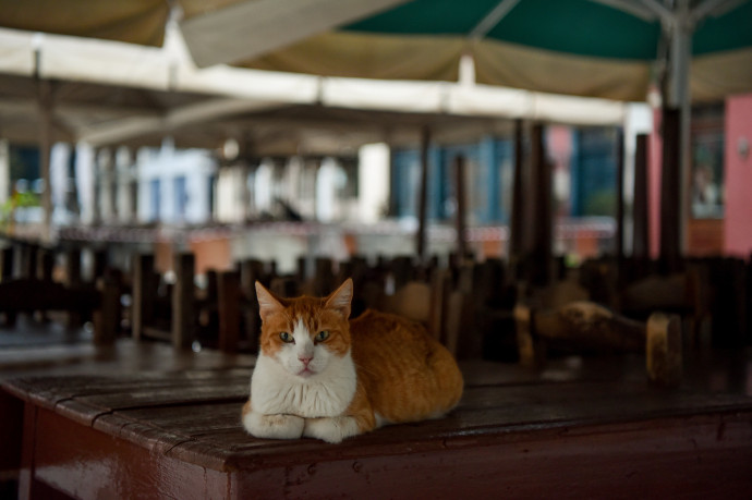 Görögország már áprilisban megnyitná a határait az EU turistái előtt