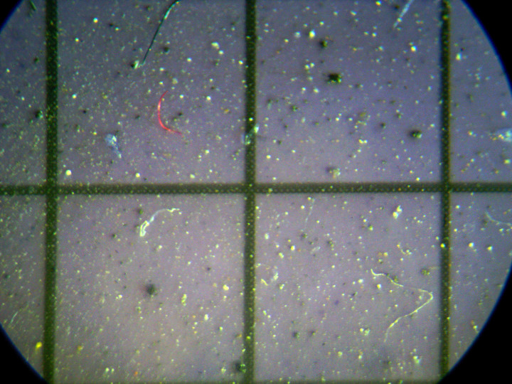 Mikroműanyagok egy szibériai hómintában mikroszkóp alatt – Fotó: Reuters/ANI