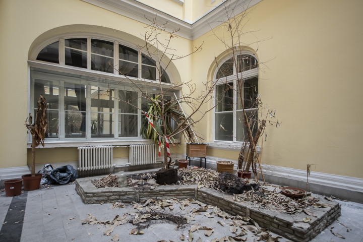 Fotó: Bődey János / Telex