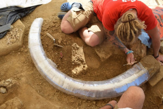 Több ezer éve feldarabolt mamut maradványaira bukkantak magyar régészek