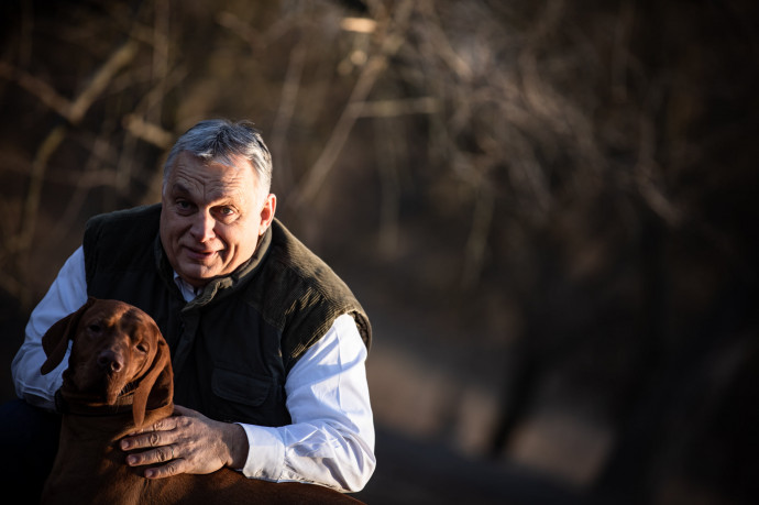 Orbán Viktor februárban Alfival, a vizslával reklámozta a kormány állatvédelmi kérdőívét. Fotó: Facebook/Orbán Viktor