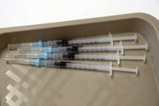 Akadozik a szervátültetettek oltása, 45 százalékuk még nem kapott vakcinát