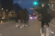 Meglógott a brüsszeli rendőrség két lova az illegális szabadtéri buli oszlatása közben
