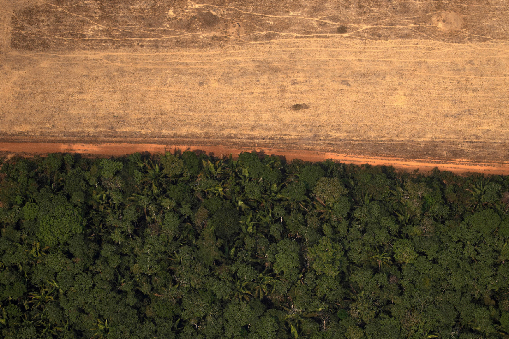 Brazília egymilliárd dolláros külföldi támogatást kér az erdőirtás visszaszorítására az Amazonas térségében
