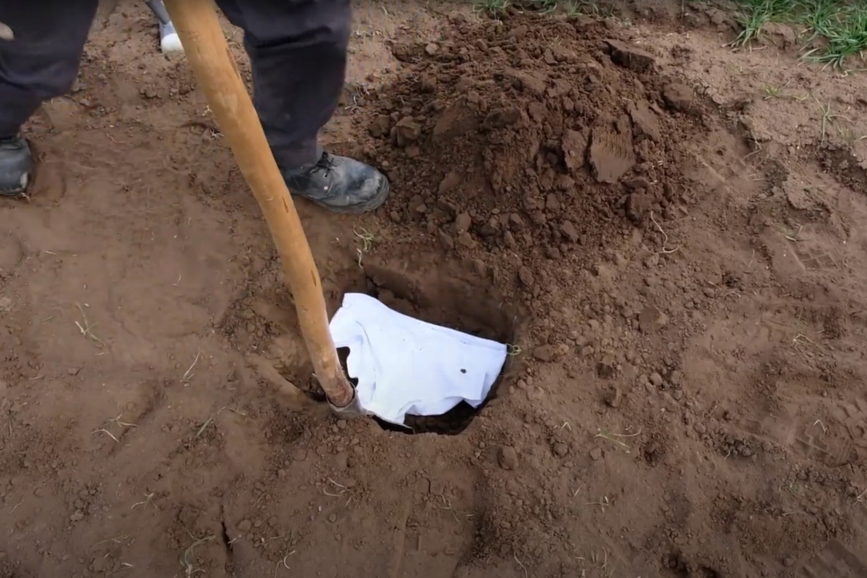 Egy elásott alsónadrággal segíthet egy fontos talajkutatásban
