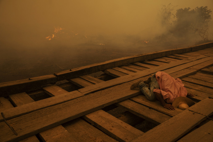 Pantanal Ablaze – Lalo de Almeida / Panos Pictures – Brazília