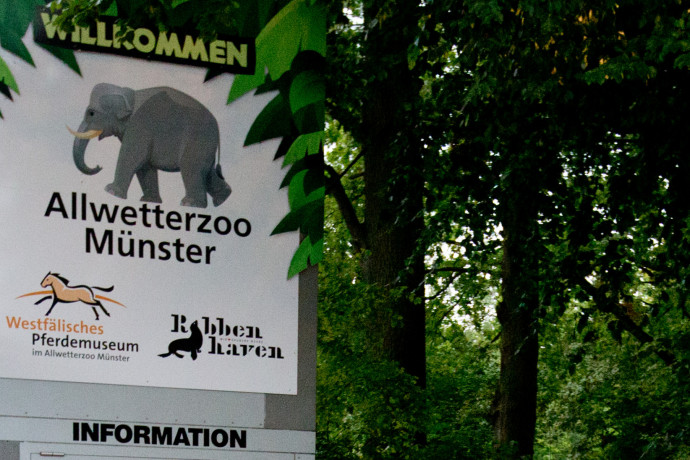 Elhunyt feleségének tett ígérete miatt adományozott 750 ezer eurót egy német nyugdíjas egy állatkertnek