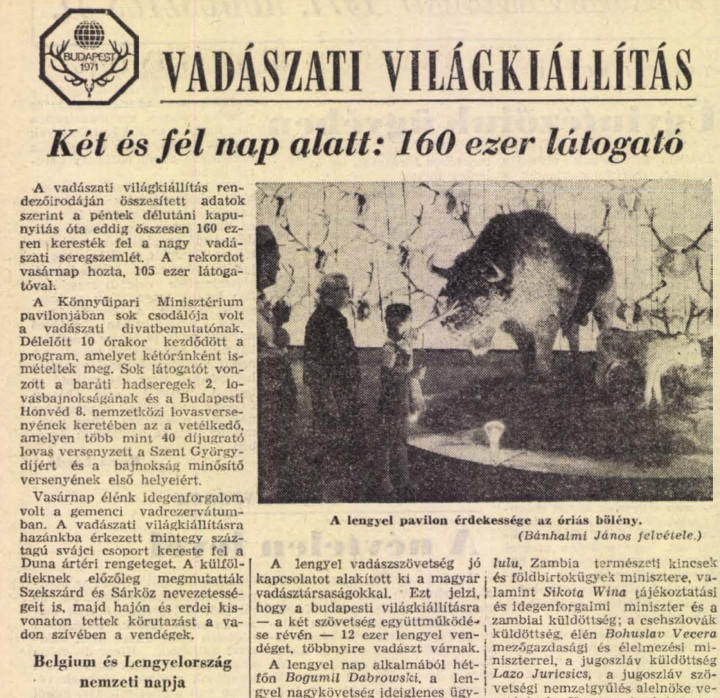 A Népszabadság beszámolója az 1971-es vadászati világkiállításról – Forrás: Népszabadság, 1971. augusztus (29. évfolyam, 180–204. szám) / Arcanum
