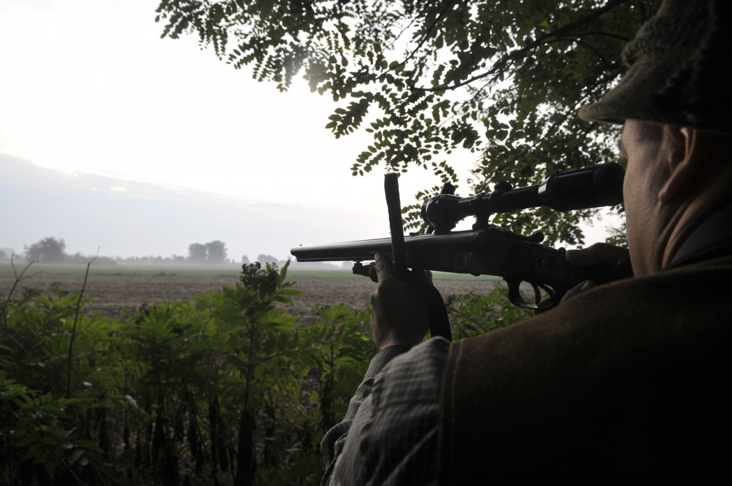 Őzbakra célzó vadász őzhívás idején a hatvani Aranyfácán Vadásztársaság területén 2014. augusztus 8-án – Fotó: Kovács Attila / MTI